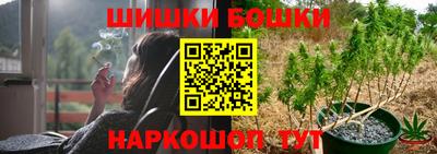 крисы Коммунар
