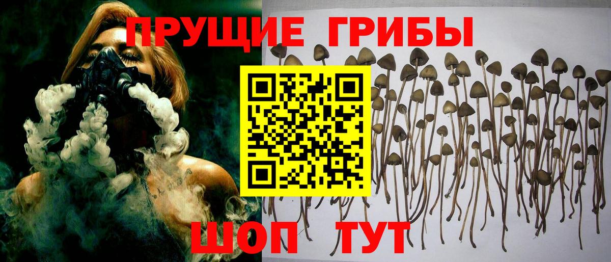 Якутск  Псилоцибиновые грибы мухоморы  Вход с VPN 
