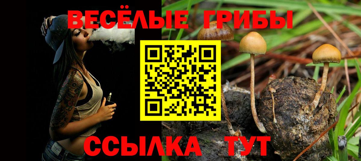 Галлюциногенные грибы ЛСД Якутск
